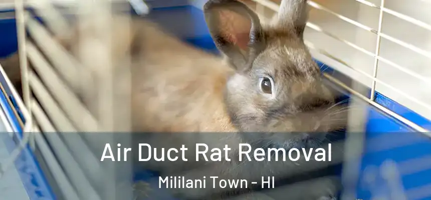  Air Duct Rat Removal Mililani Town - HI