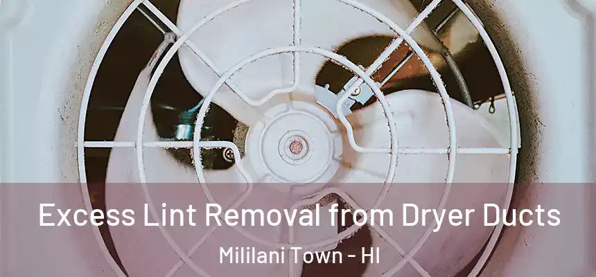  Excess Lint Removal from Dryer Ducts Mililani Town - HI