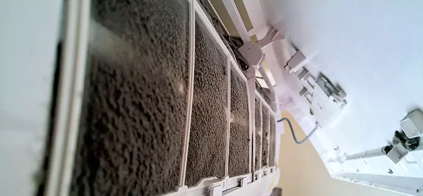 Preventive Air Duct Bacteria Removal in Mililani Town