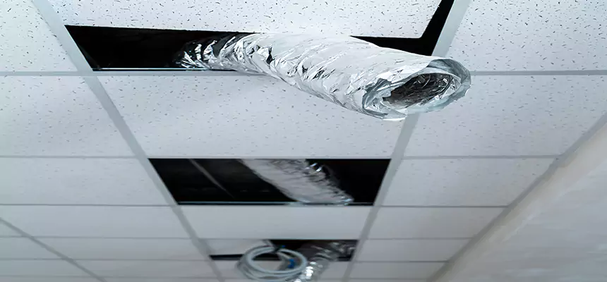 Affordable HVAC Sanitizing After Pest Removal in Mililani Town