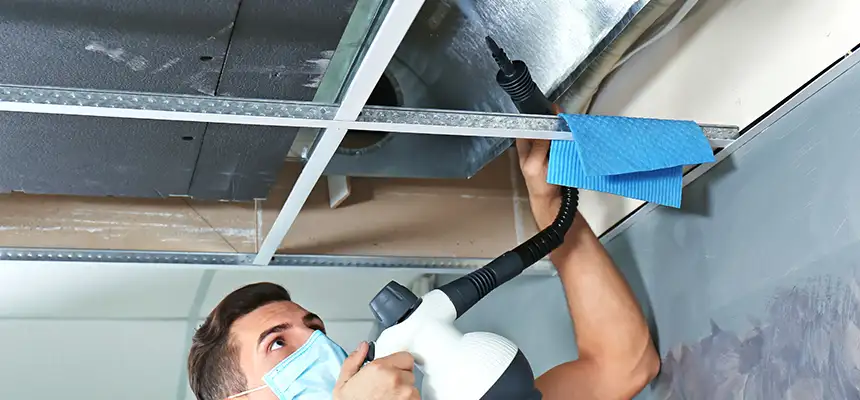 Our Air Duct Rodent Removal Services in Mililani Town, HI