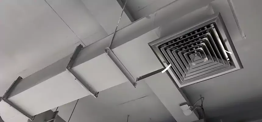 Our Pest Removal From Ducts Services in Mililani Town, HI