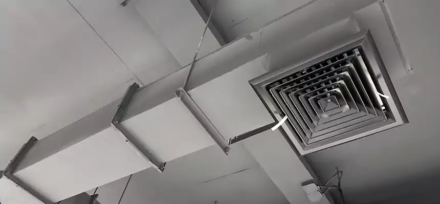 Our Rodent Droppings In Vents Services in Mililani Town, HI