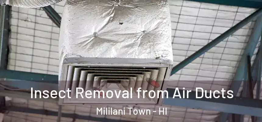 Insect Removal from Air Ducts Mililani Town - HI
