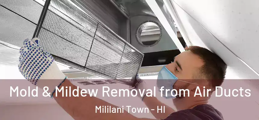 Mold & Mildew Removal from Air Ducts Mililani Town - HI