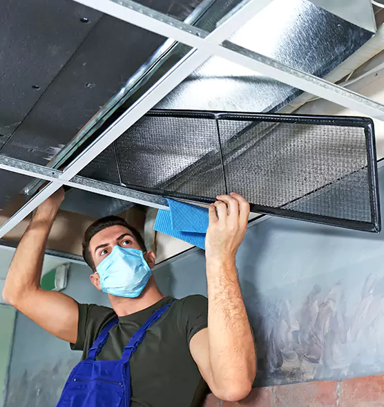 About Air Duct Bacteria Removal in Mililani Town