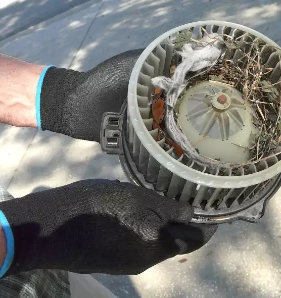 About Air Duct Mice Removal in Mililani Town, HI