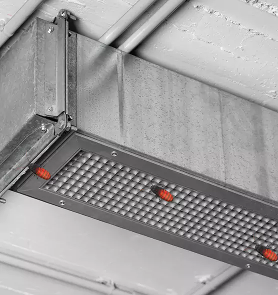 Affordable Insect Removal from Air Ducts in Mililani Town, HI