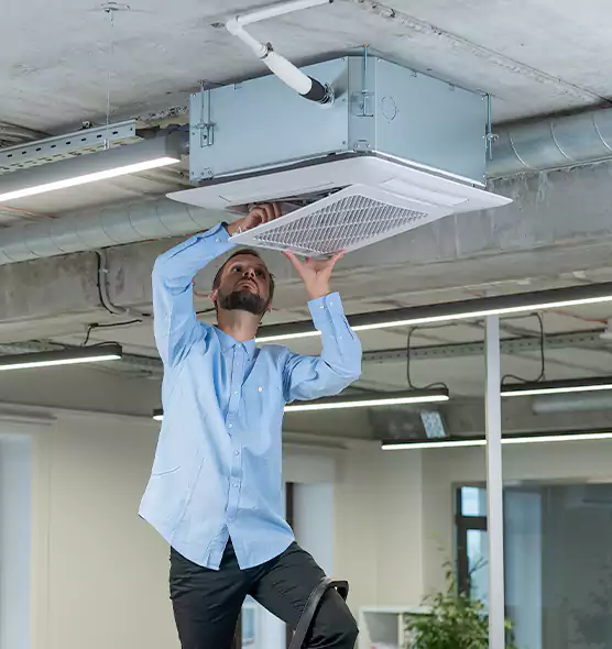 Advanced Rodent Droppings In Vents in Mililani Town, HI