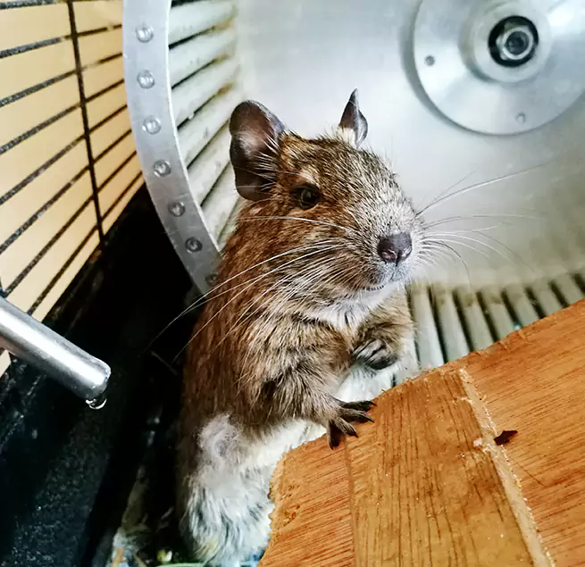 Why Homeowners & Businesses Trust Us Mililani Town, HI