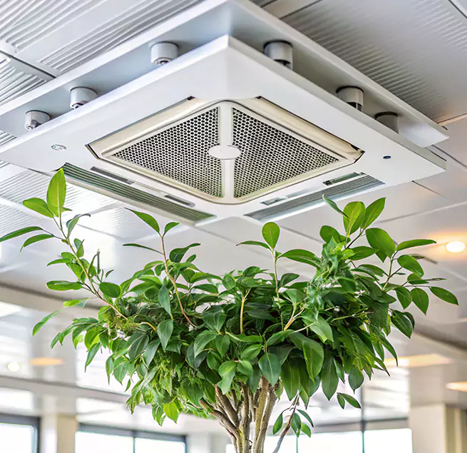 Why Homeowners & Businesses Trust Us in Mililani Town, HI?