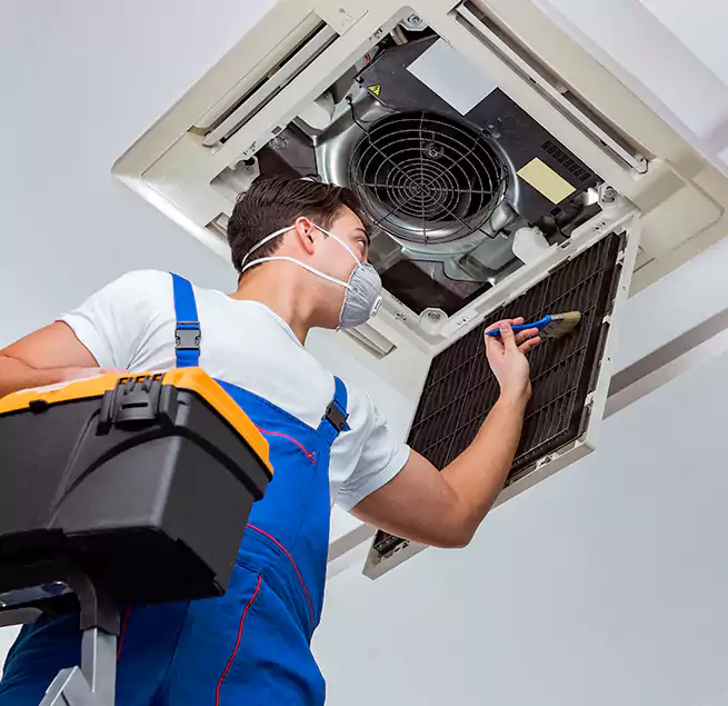 Why Homeowners & Businesses Trust Us in Mililani Town, HI?