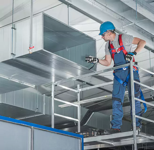 Why Homeowners & Businesses Trust Us in Mililani Town, HI?