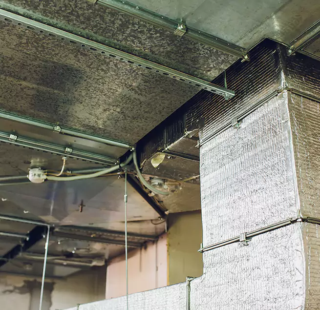 Why Homeowners & Businesses Trust Us in Mililani Town, HI?