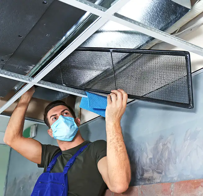 Why Homeowners & Businesses Trust Us in Mililani Town, HI?