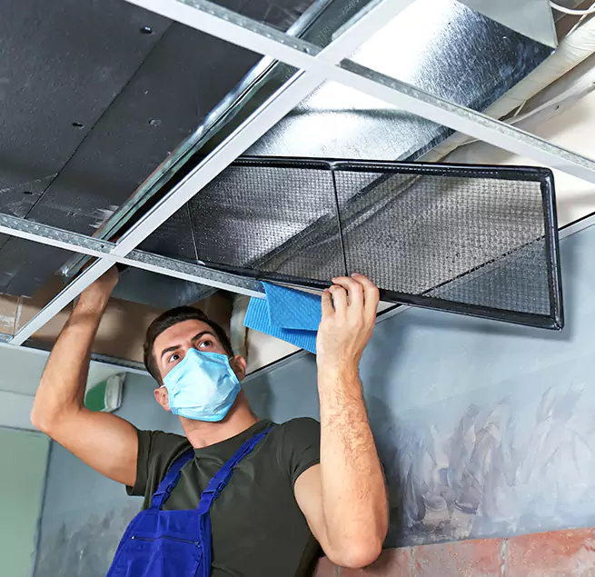  Why Homeowners Businesses Trust Us  in Mililani Town, HI?